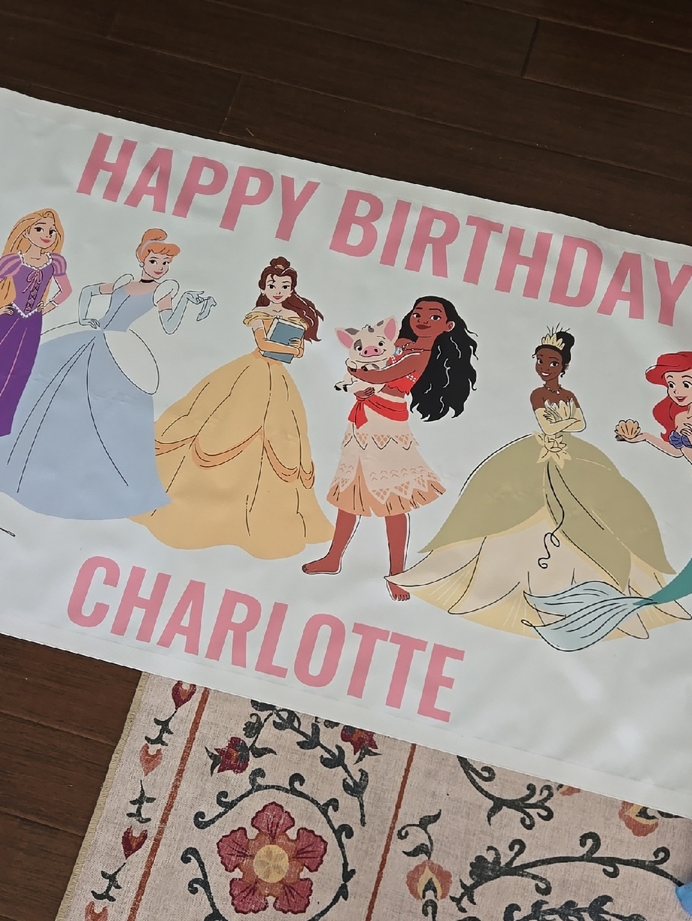 Disney Princess Birthday Banner